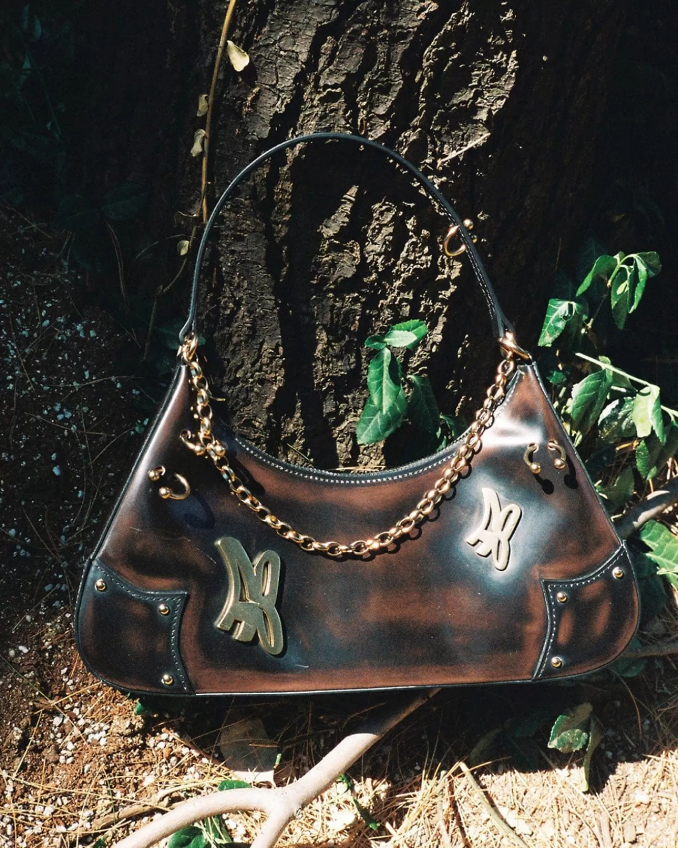 Women Andersson Bell Butterfly Ab Logo Chain Bag Aaa330W(D/Brown)