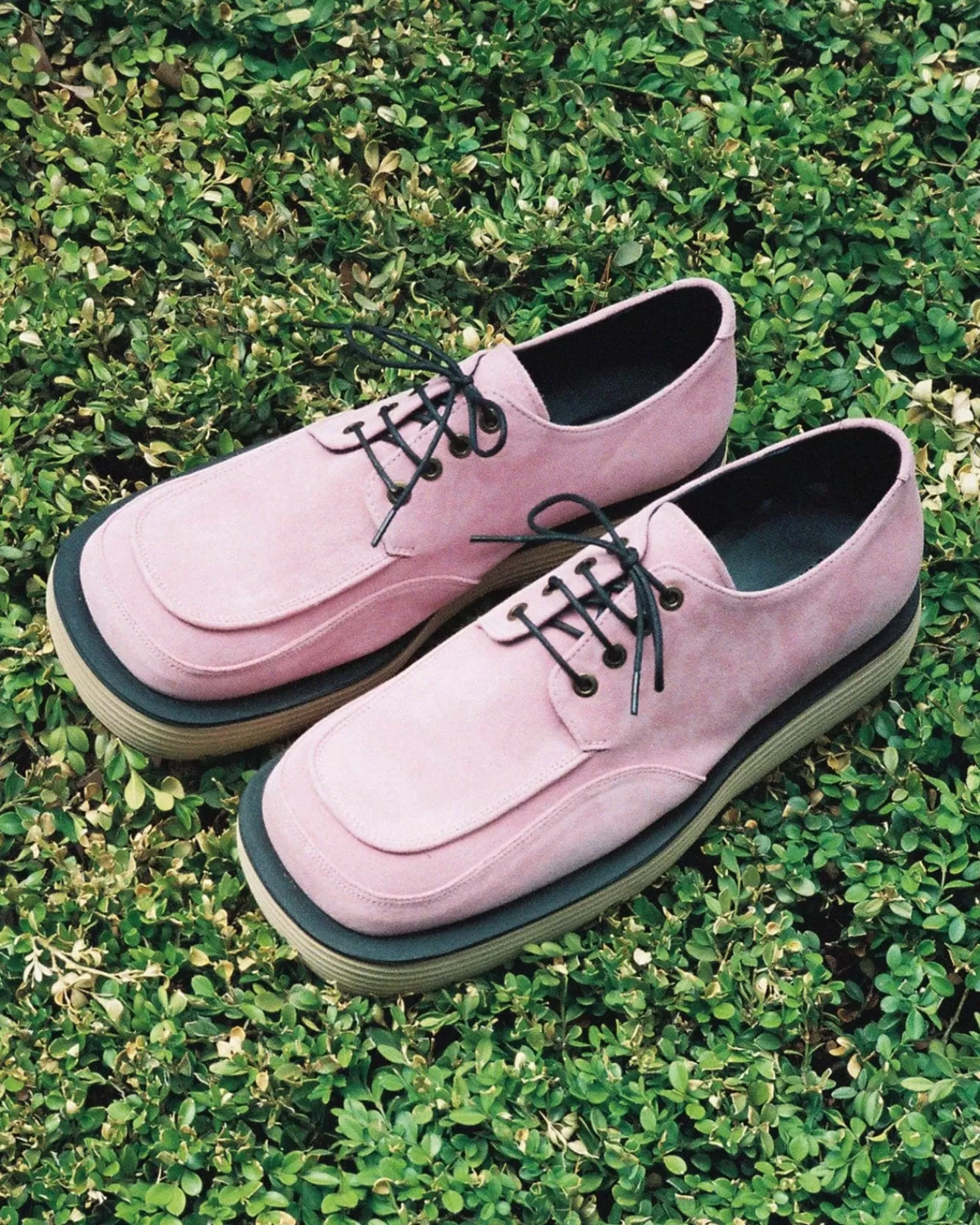 Men Andersson Bell Square Matine 23 Derby Shoes Aaa327M(Pink)